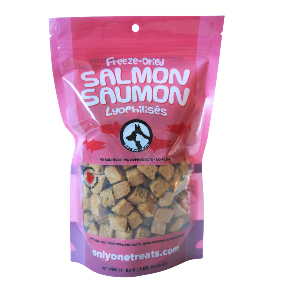 Freeze-Dried Salmon 85g