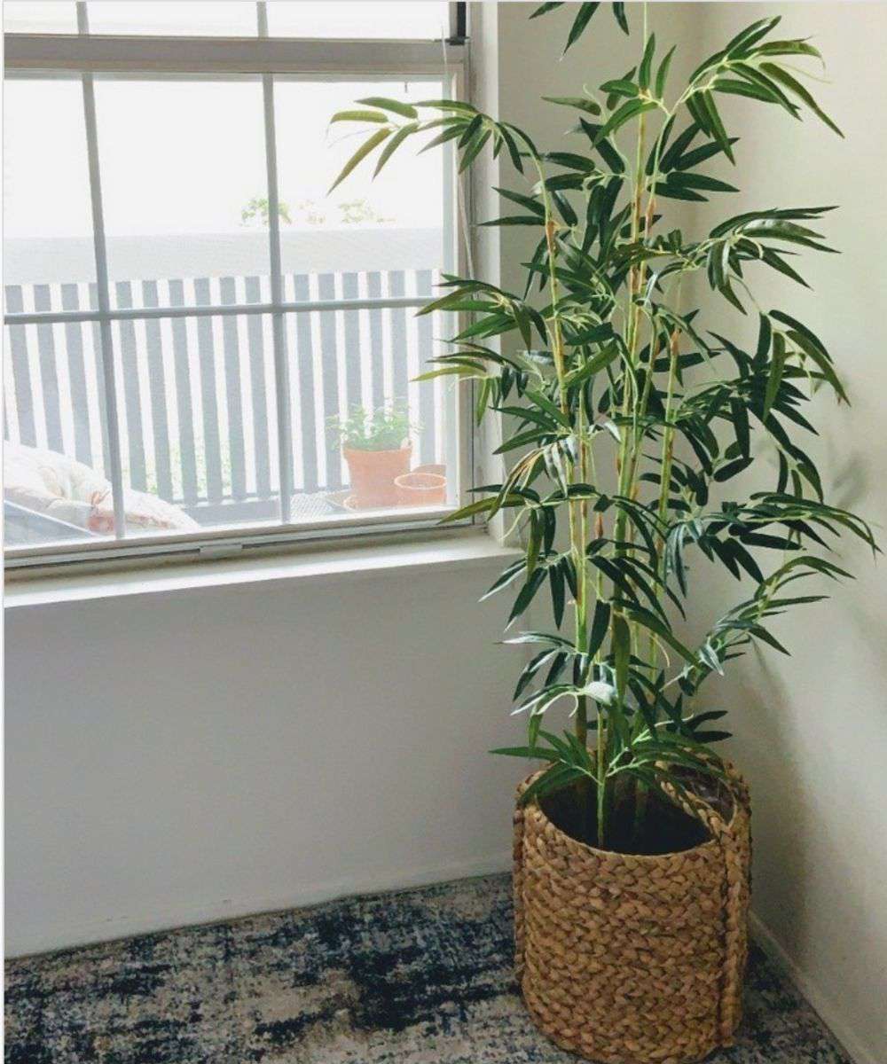 Osos Artificial Korea Bamboo Potted Plant (Multiple Sizes)