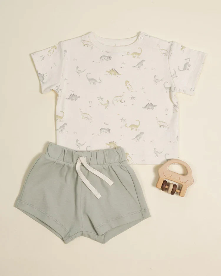 Boxy Tee | Dinosaur | Quincy Mae