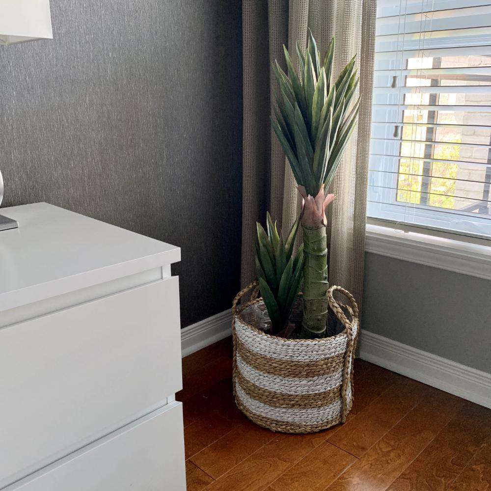 Remi Artificial Aloe Tree Potted Plant 3'