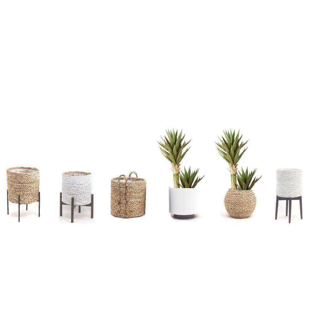 Remi Artificial Aloe Tree Potted Plant 3'