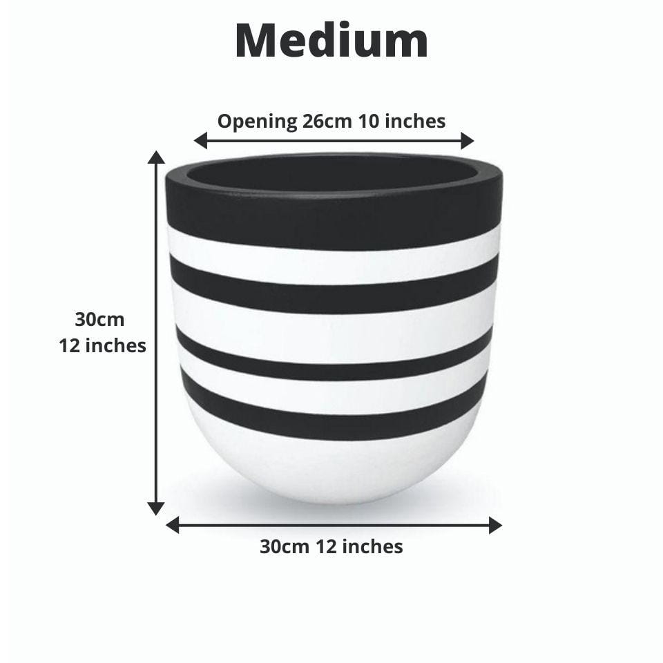 Rovos Cement Planter (Multiple Sizes)