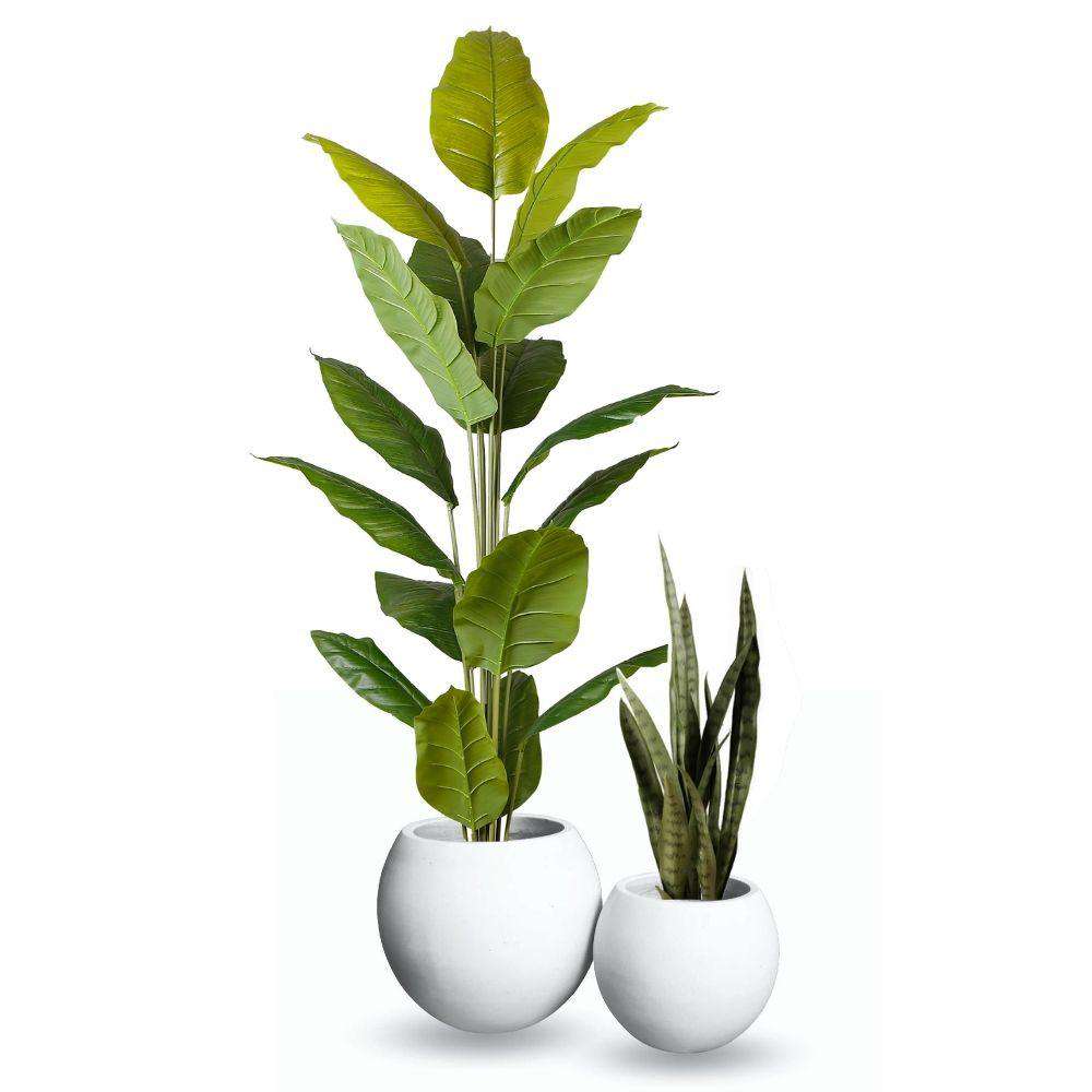 Rolo Round Cement Planter (Multiple Sizes)