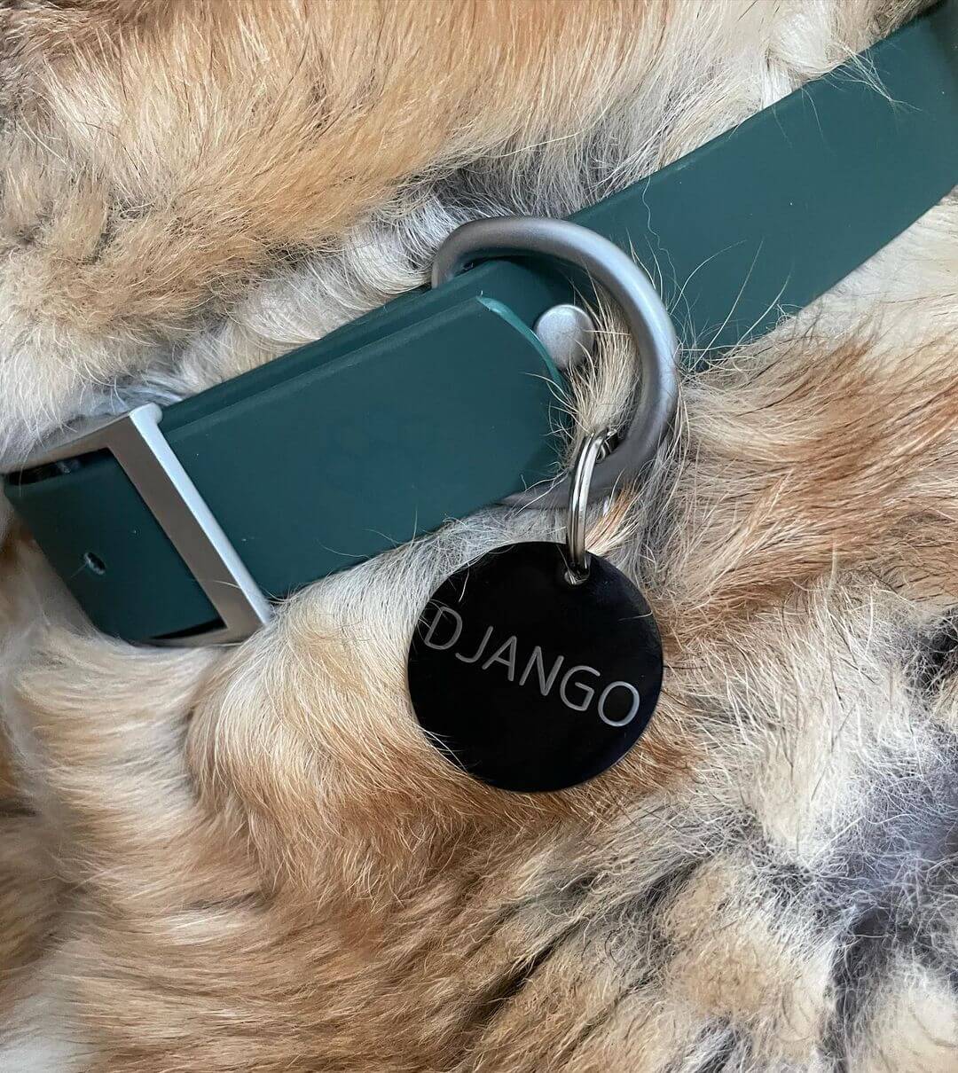 Dog Walk Combo: Collar, Leash, Dog Tag Set