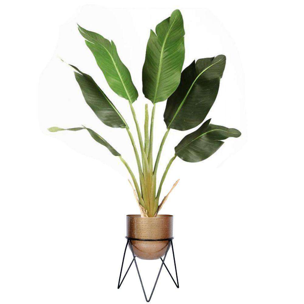 Teresa - Brass Mid-Century Planter With Black Metal Stand