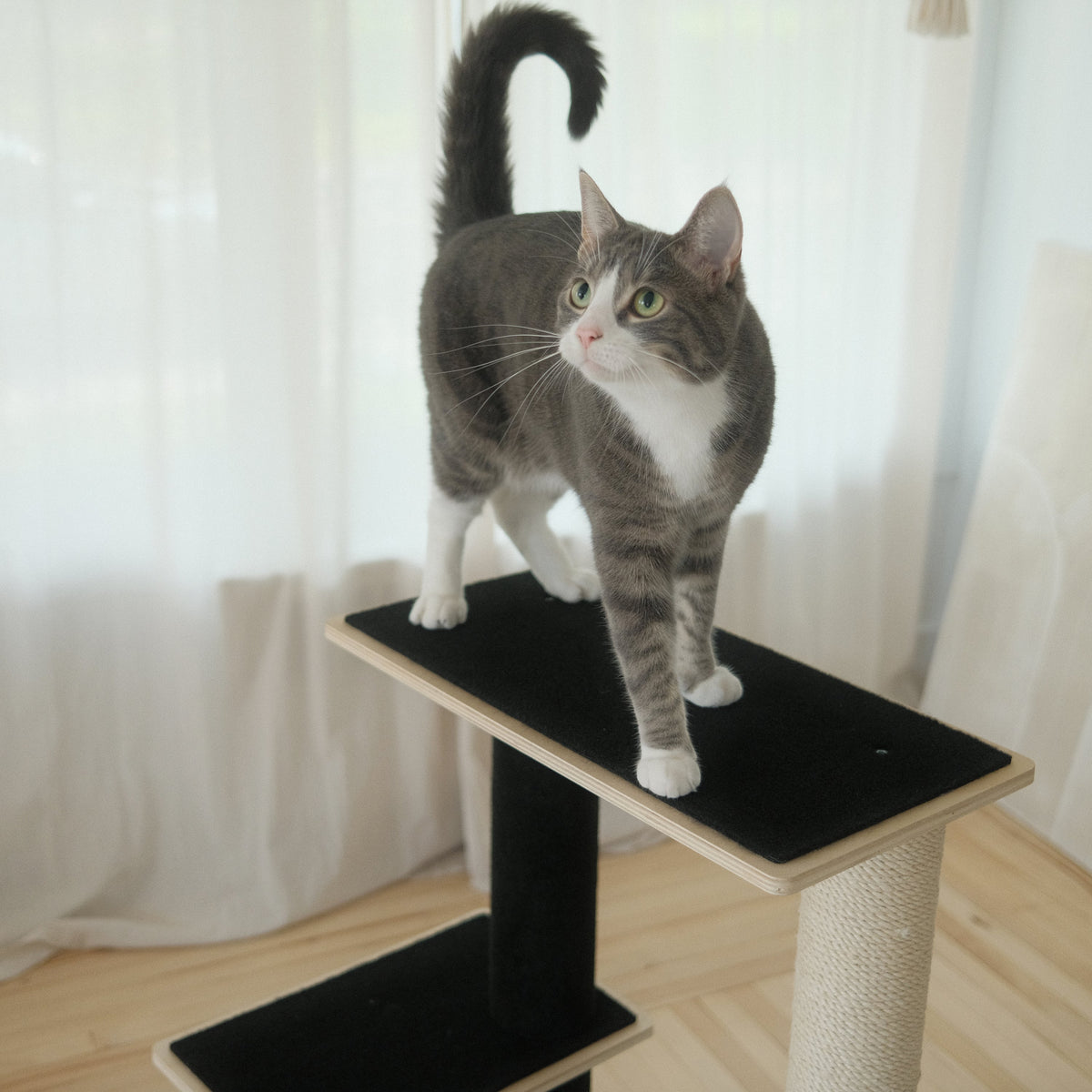 Noba Modern Plywood 2-Level Cat Tree