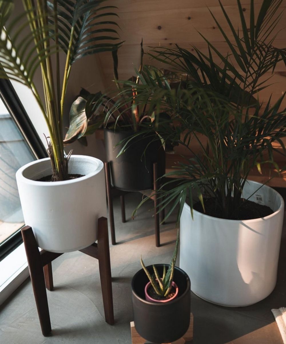 Boni White Mid - Century Cement Planter With Wooden Stand