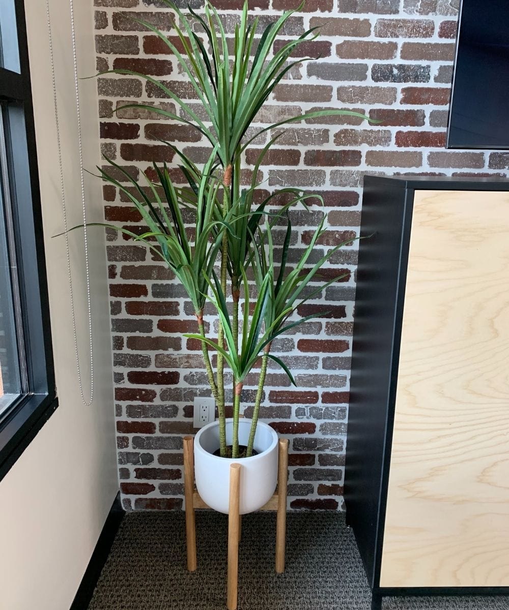 Yulu Artificial Century Potted Plant (Multiple Sizes)