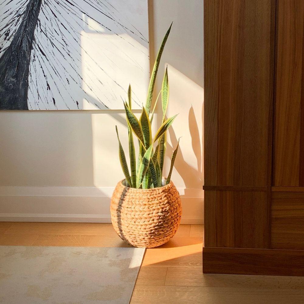 Rafa- Water Hyacinth Natural Round Floor Planter