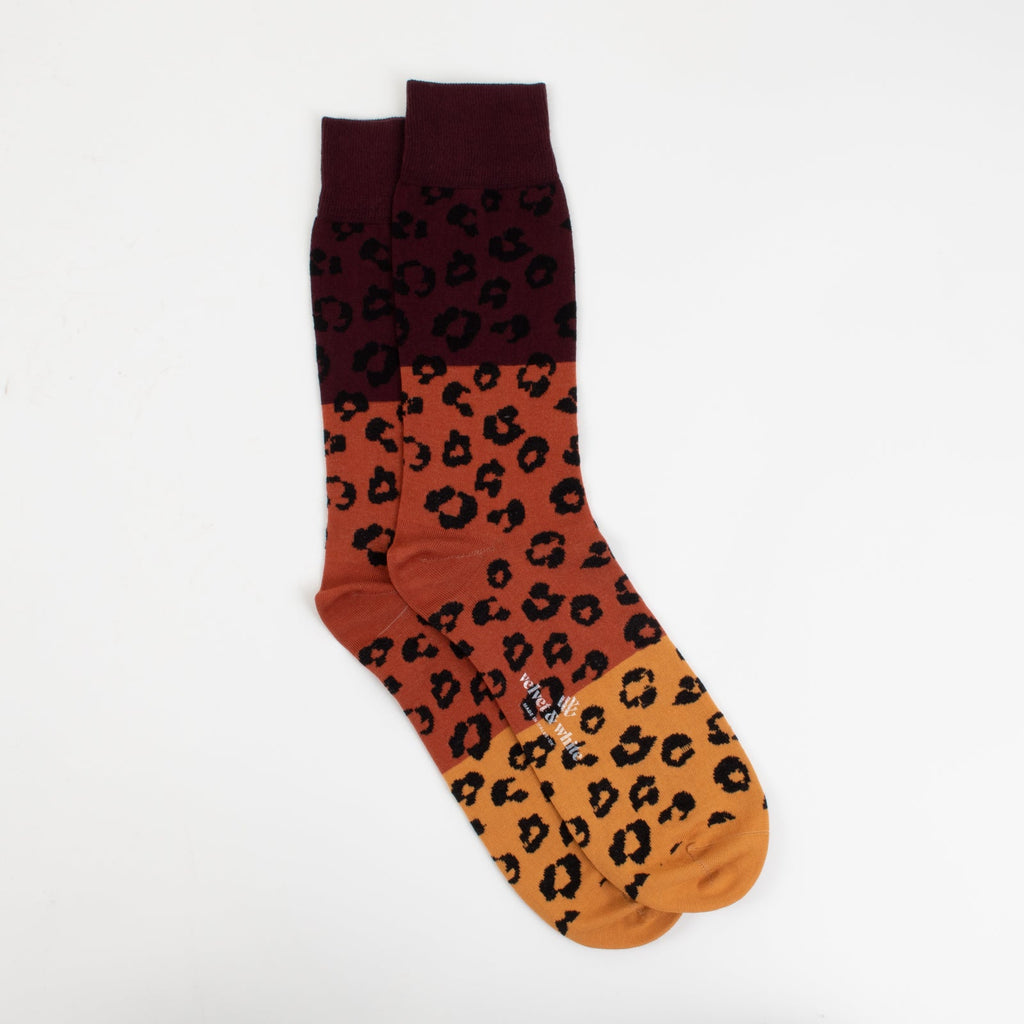 Late Night Leopard