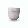 Yucata Cement Planter 15''