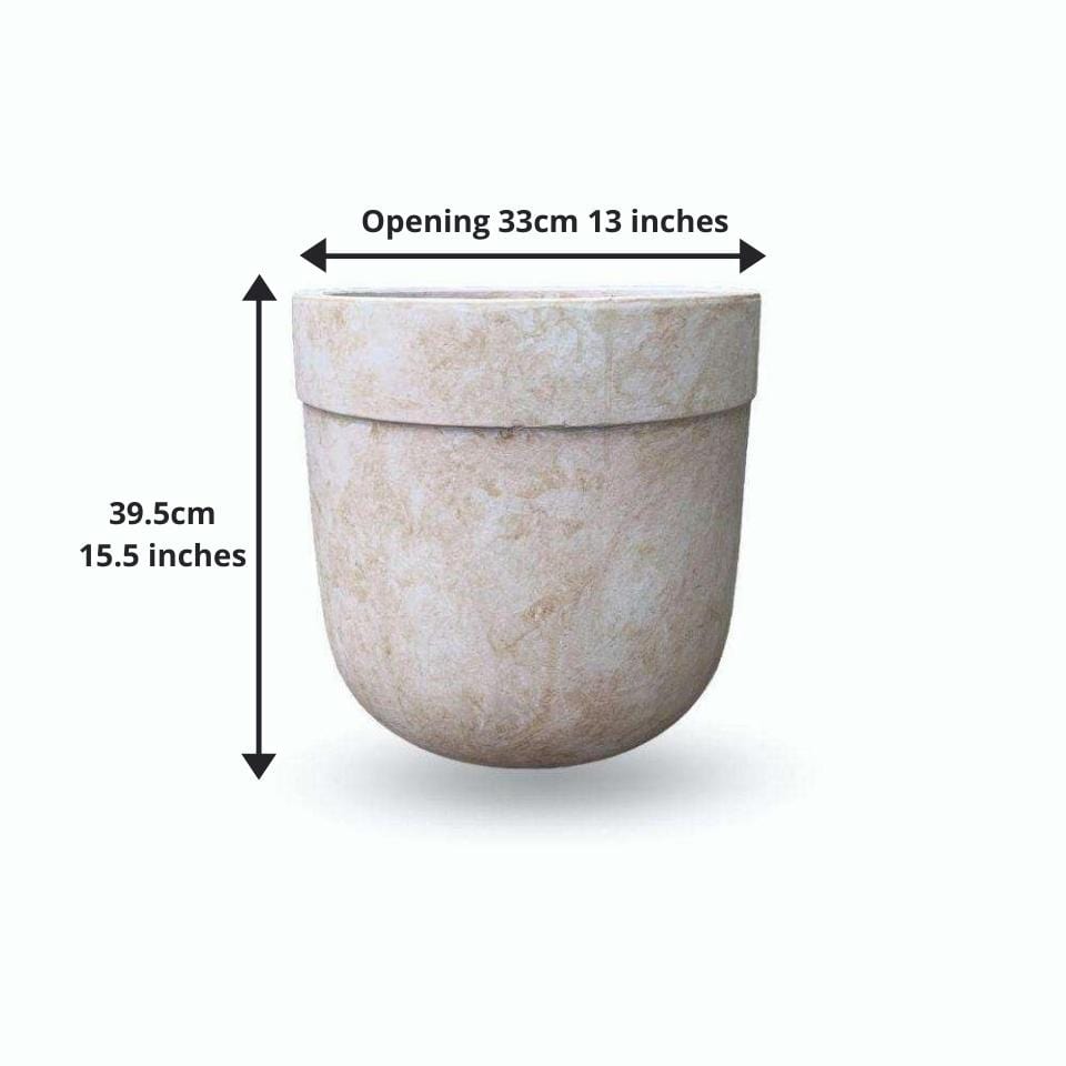 Yucata Cement Planter 15''