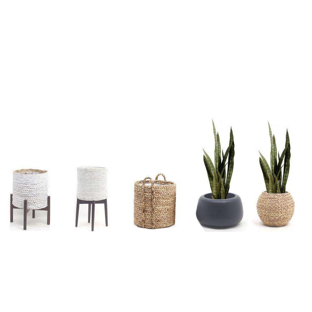 Zoro Artificial Snake Sansevieria Dark Green Potted Plant 30''