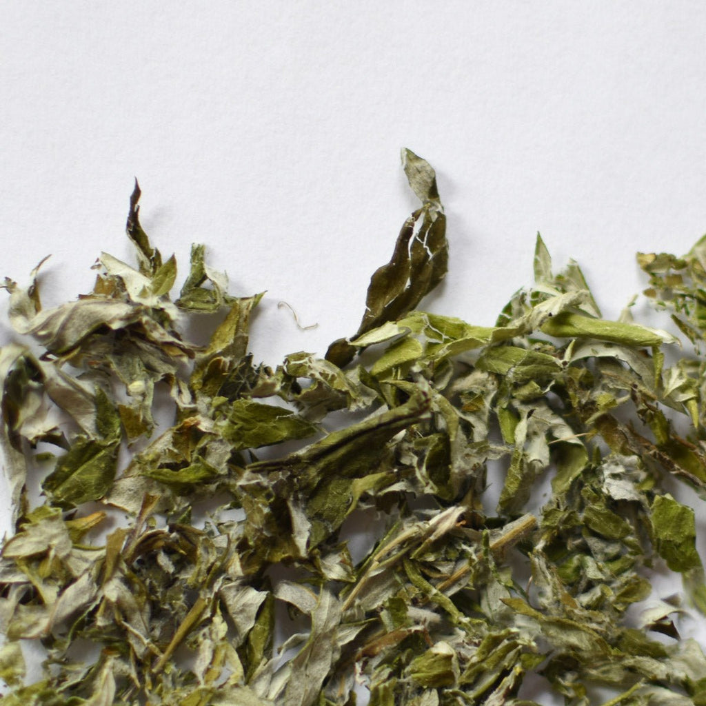 Armoise vulgaire | Feuille entière séchée (Artemisia vulgaris)