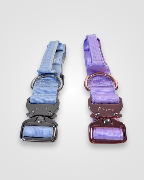 1.5" Tactical Collar with Handle - Baby Blue