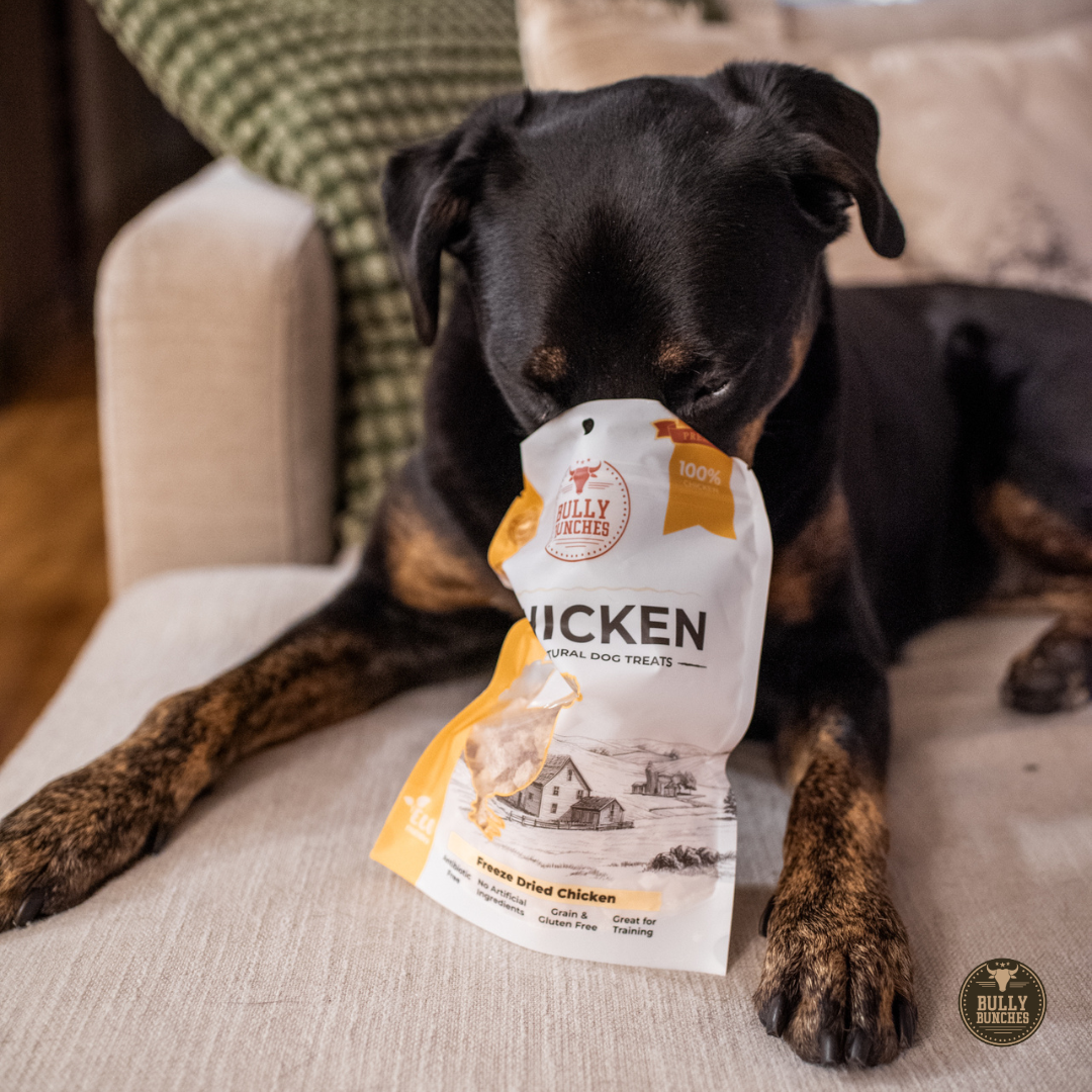 Freeze Dried Chicken 100g / 3.5oz