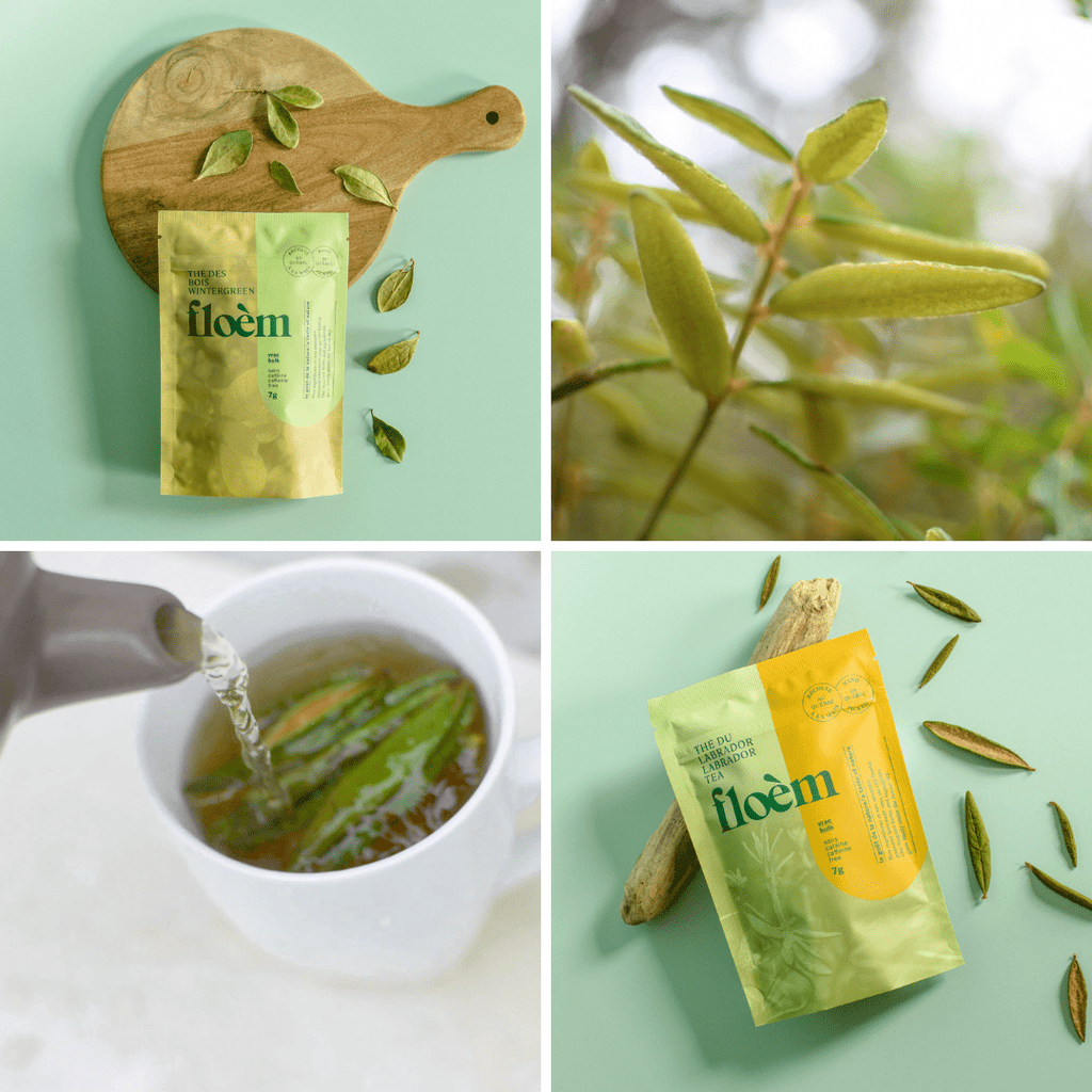Ensemble de tisane - Ensemble complet, pack de variétés