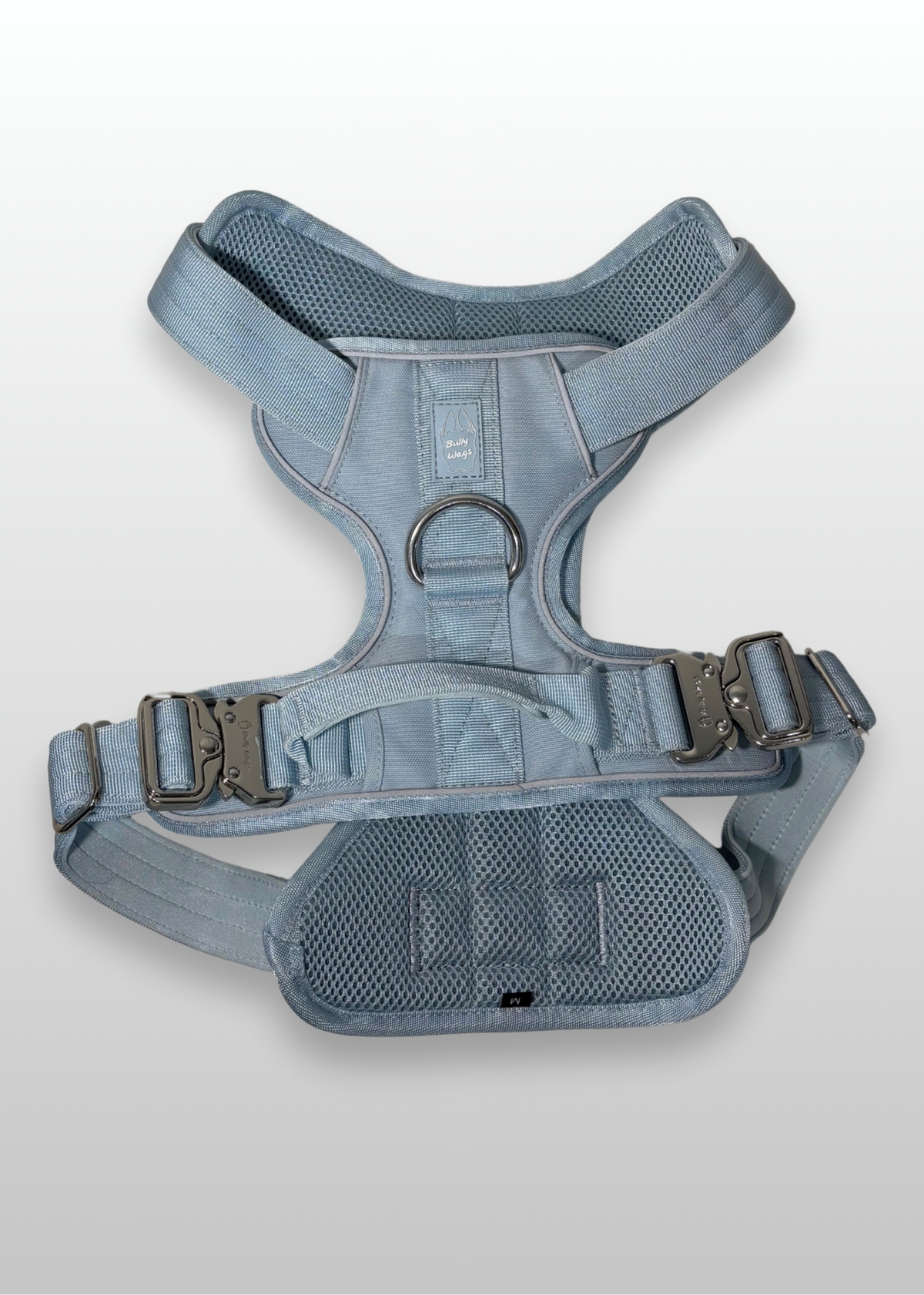 Heavy-Duty Everyday Harness - Baby Blue