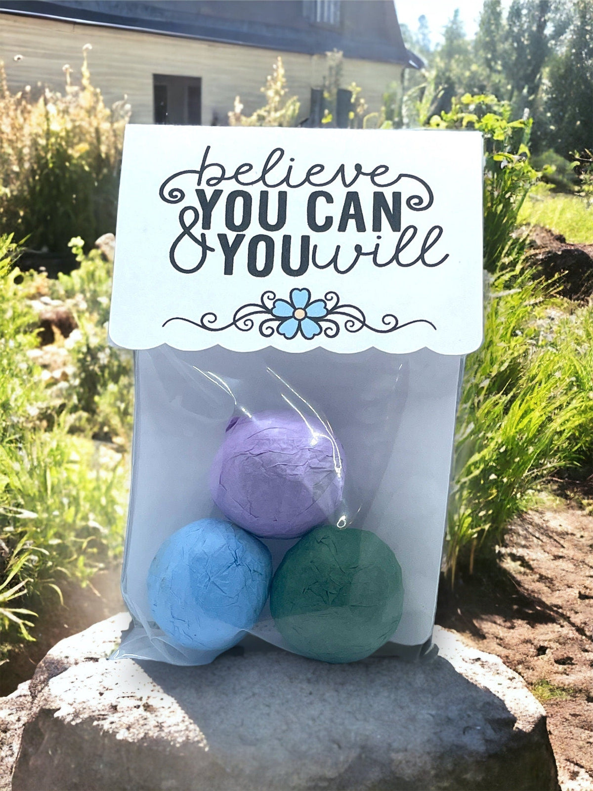 Seed Bombs - 3 Pack - Canadian Wildflower