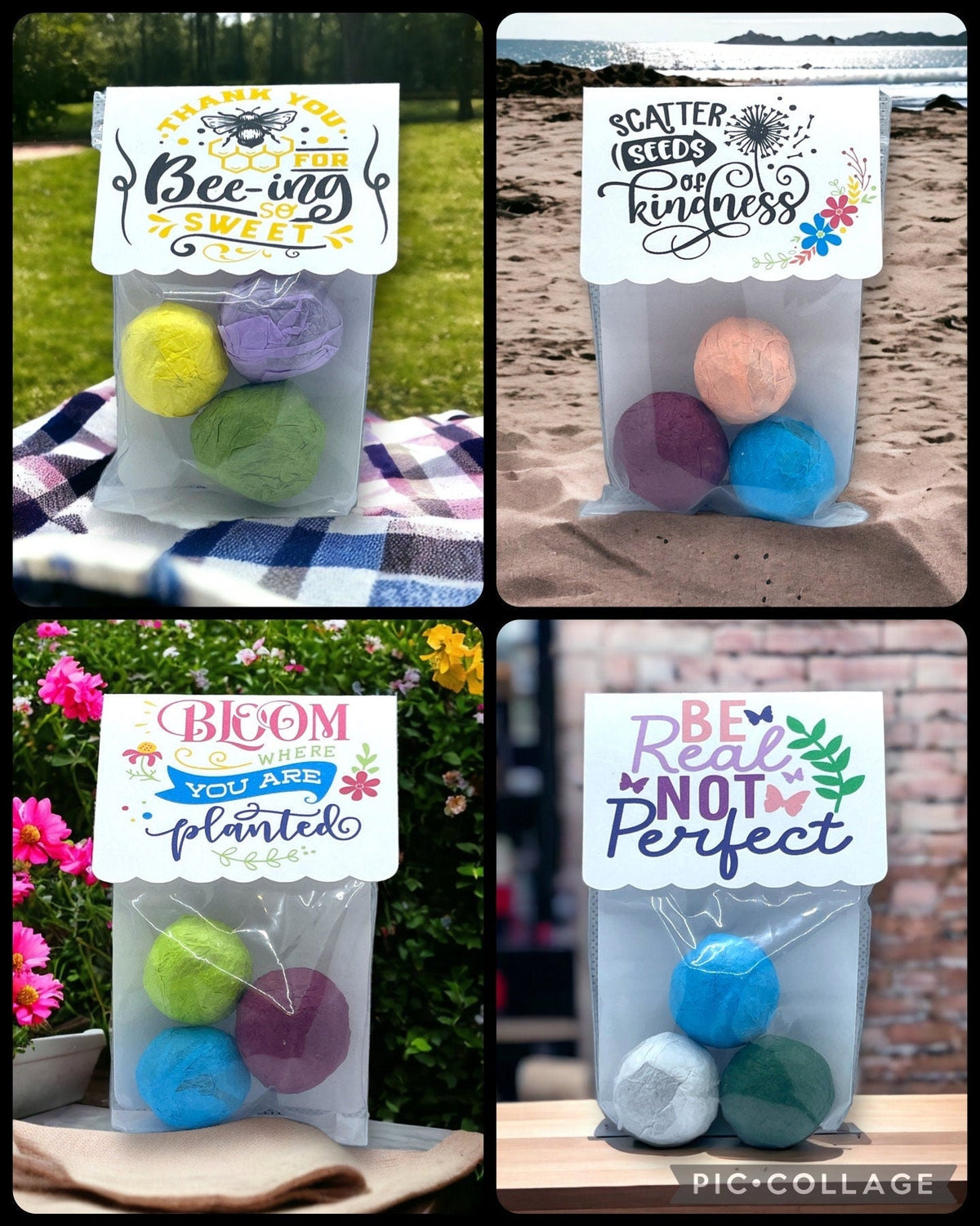 Seed Bombs - 3 Pack - Canadian Wildflower
