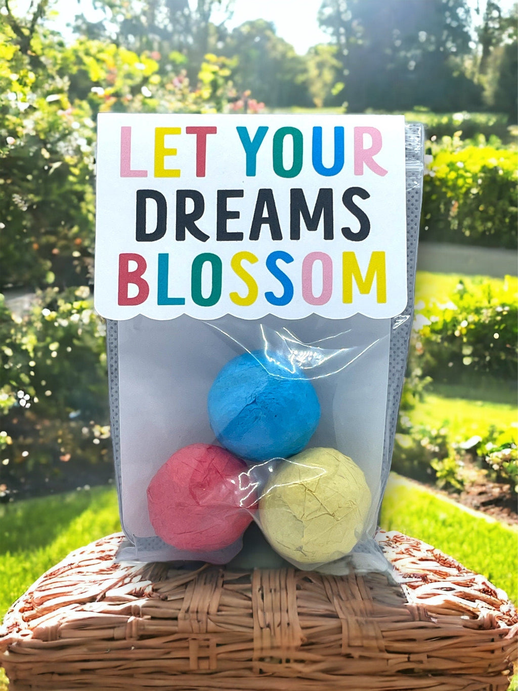Seed Bombs - 3 Pack - Canadian Wildflower