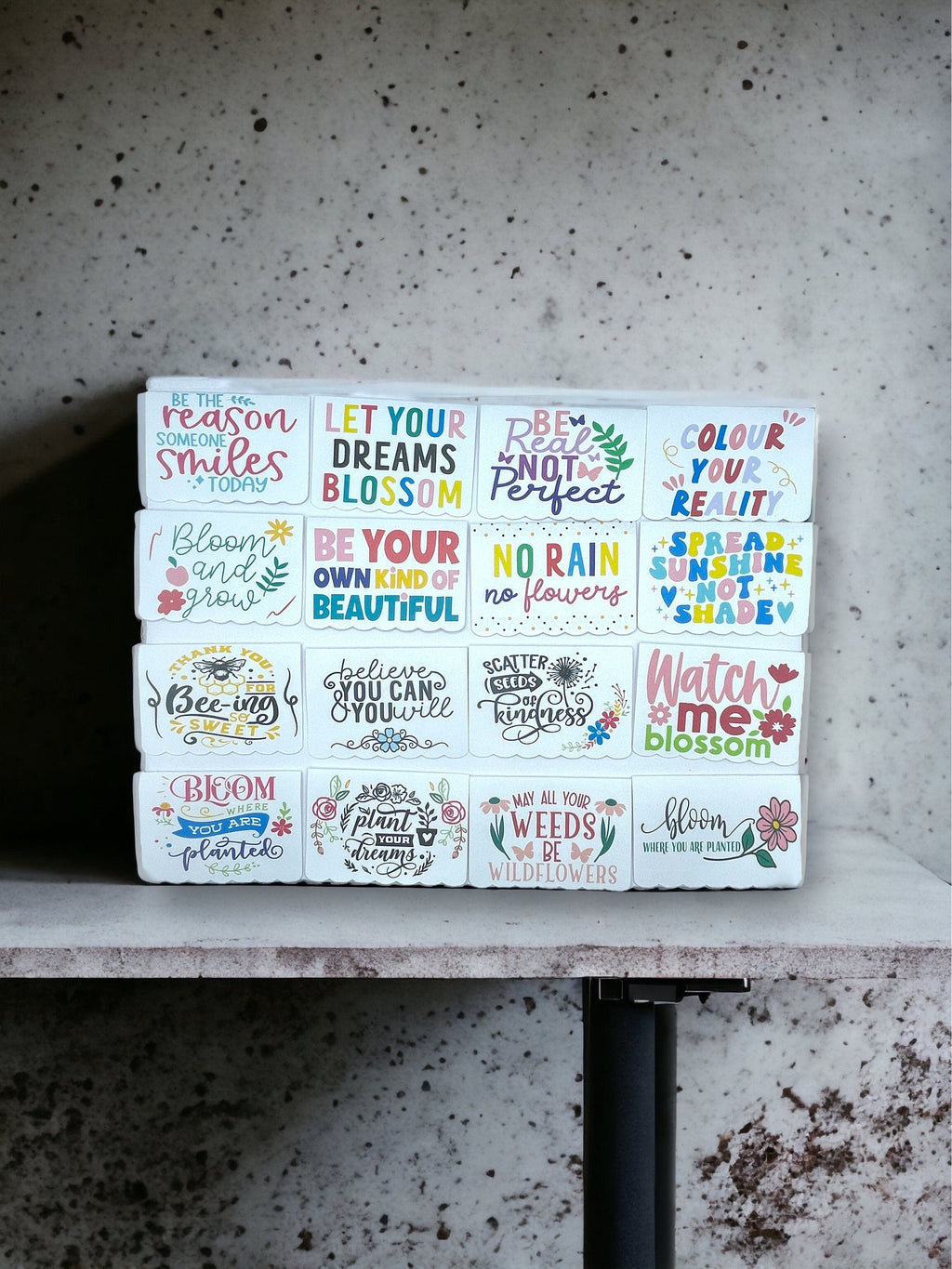 Seed Bombs - 3 Pack - Canadian Wildflower