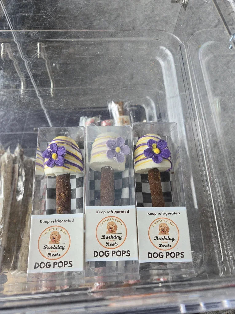 Dog Pops for Dogs 🍭🐾