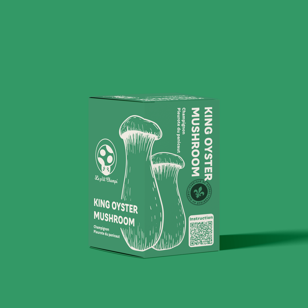King Oyster Mushroom Kit
