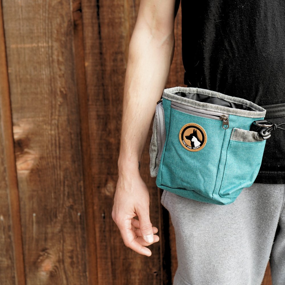 Large Treat Pouch - Teal