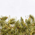 Mélèze | Aiguille entière séchée (Larix laricina)