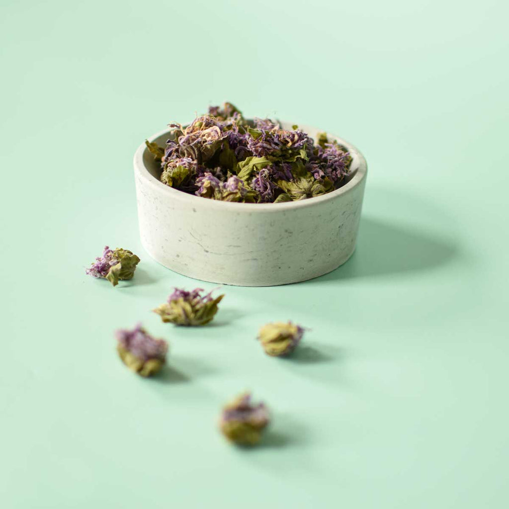 Monarde fistuleuse | Fleur entière séchée (Monarda fistulosa)