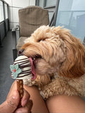 Dog Pops for Dogs 🍭🐾