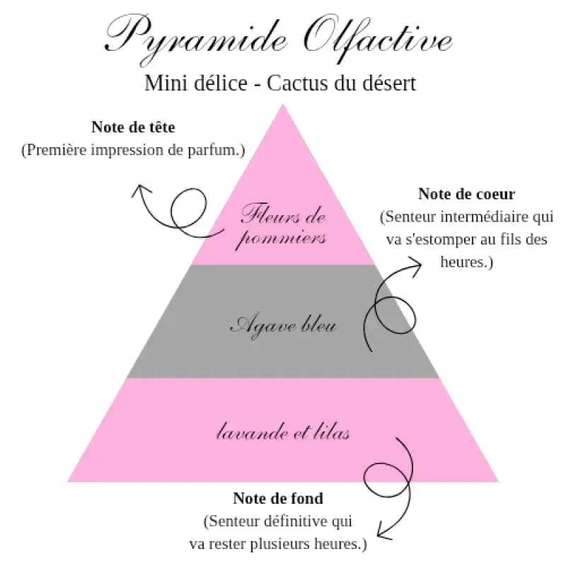 La bougie gourmande mini délice - Cactus du désert