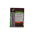 Seeds - Anise Hyssop