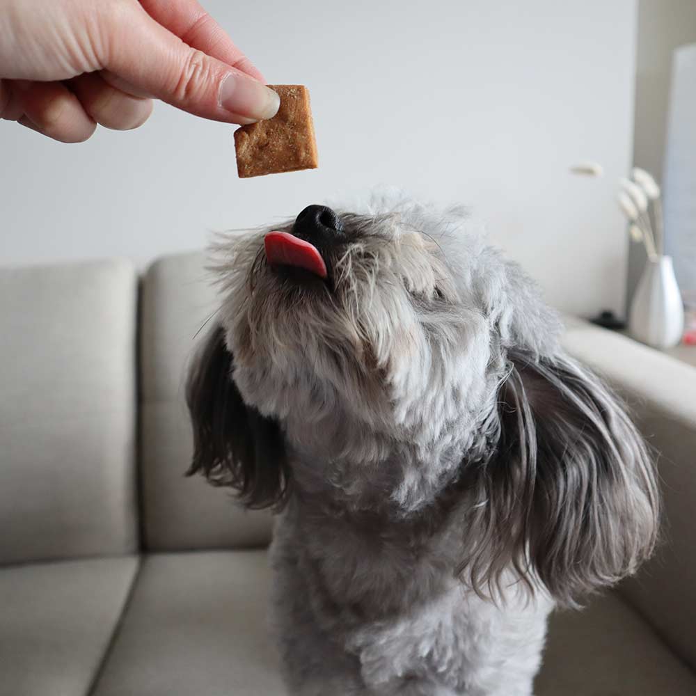 Soft Natural Peanut Training Treats 170g