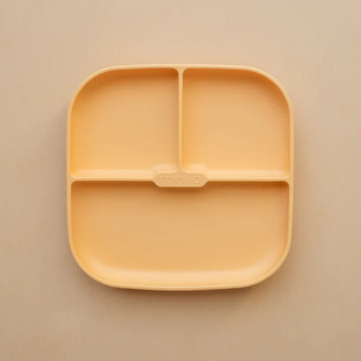 Silicone Suction Plate