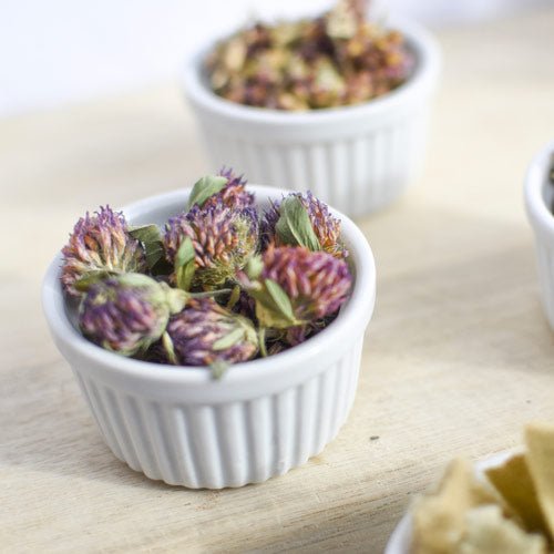 Trèfle rouge | Fleur entière séchée (Trifolium pratense)