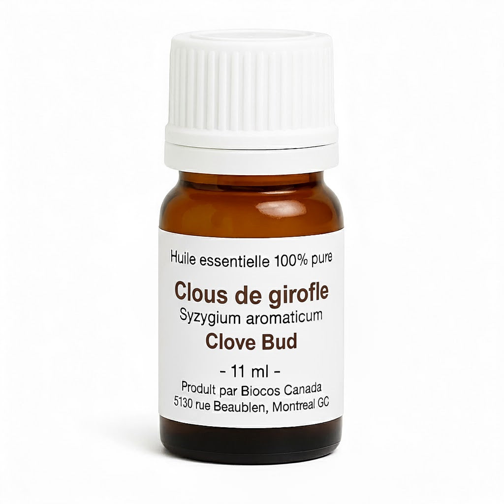 Clous de Girofle