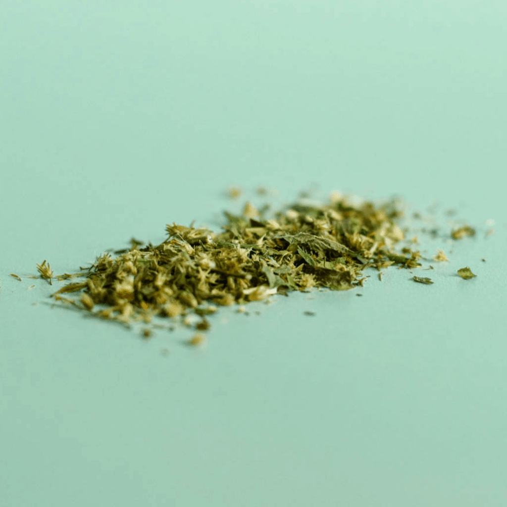 Verge d'or | Sommité fleurie séchée (Solidago canadensis)