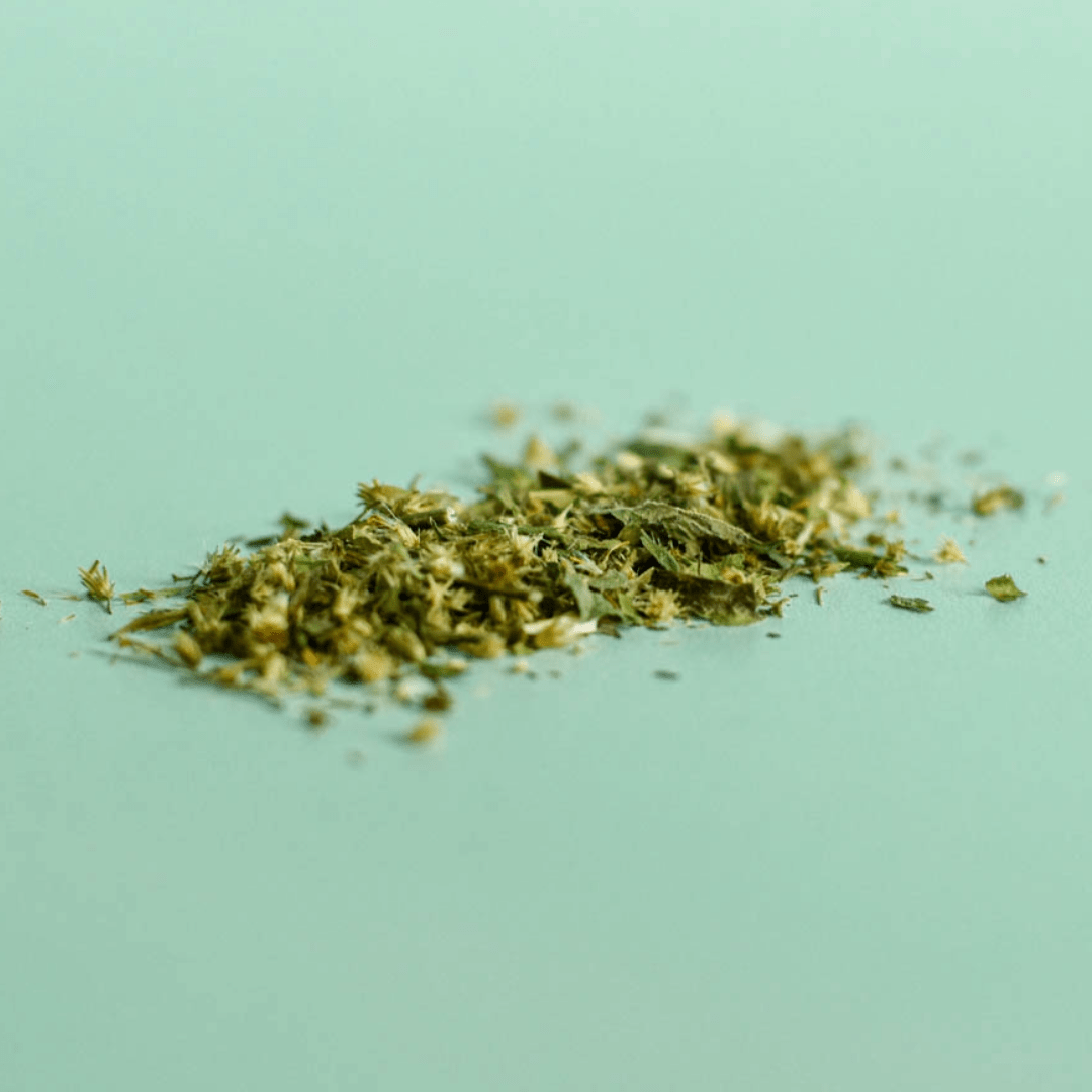 Verge d'or | Sommité fleurie séchée (Solidago canadensis)